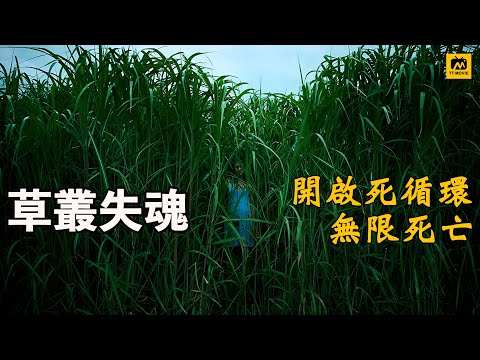 堪比#恐怖游轮的烧脑悬疑惊悚片《高草丛中》无限循环的草丛，一对情侣进去后再也没能出来 #高分电影 #烧脑悬疑 #时间循环 #无限循环 #悬疑片 #恐怖游轮 #惊悚