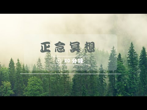 [冥想] 正念冥想 20分鐘｜安住身心帶來寧靜 ＃寧靜 ＃放鬆 #正念  #正念冥想 #冥想