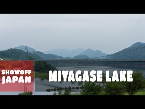 Wild Monkeys Caught Me By Surprise at Miyagase Lake Japan