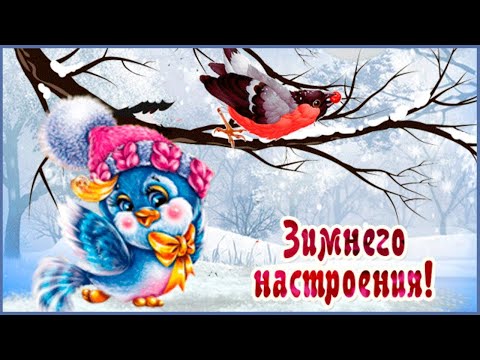 ХОРОШЕГО ЗИМНЕГО НАСТРОЕНИЯ !