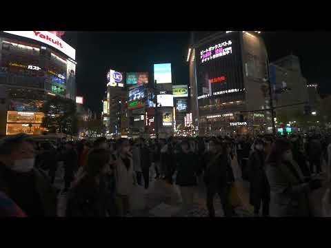 【4K HDR】Walk through Shibuya scramble crossing at night 2022-11 Tokyo 🇯🇵　夜の渋谷スクランブル交差点 を歩く