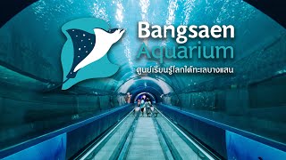 Bangsaen Aquarium ศูนย์เรียนรู้โลกใต้ทะเลบางแสน