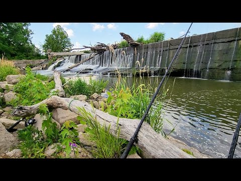 SURPRISE BIG FISH Live Below This WATERFALL SPILLWAY!! (Bait got crushed)