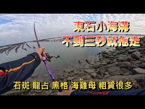 白水湖的小海溝 好多特殊高級魚種 而且還很多大魚 丟下去不用三秒就拖走竿竿咬