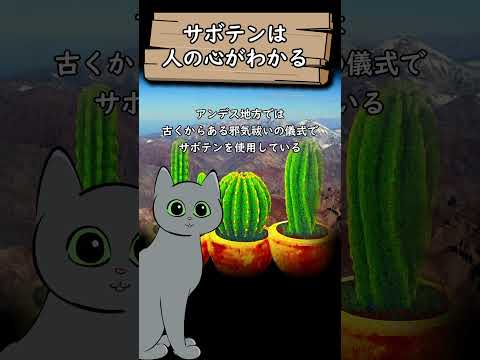 サボテンは人間の言葉を理解する不思議な植物 #shorts #サボテン #植物の力