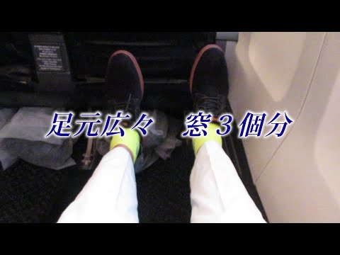 JAL B737 普通席だが国際線ビジネスクラスみたいに広い座席