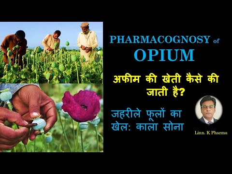 Opium Pharmacognosy BP504T | Opium Pharmacognosy ER20-13T | Morphine | Afeem| heroin