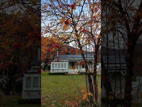 Beautiful Arrowtown in Late Autumn | @lifewithjanets