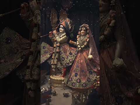 Vrandavan pyaro vrandavan..#krishna #radhakrishna #shorts #viralvideo