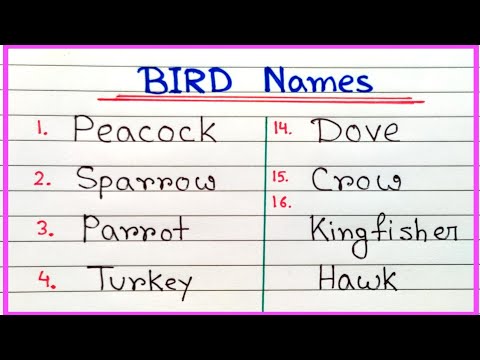 Bird names easy learning |Bird names in English easy | How to write bird names step by step