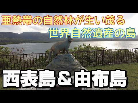 【島旅】世界自然遺産の島　西表島＆由布島をひとり旅