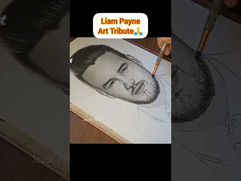 Liam Payne Art Tribute #shorts