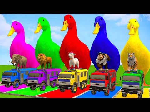 5 Giant Duck Cartoon,Cow,Mammoth,Dog,T-Rex,Lion,Tiger Paint Wild Animals Crossing Fountain Animation