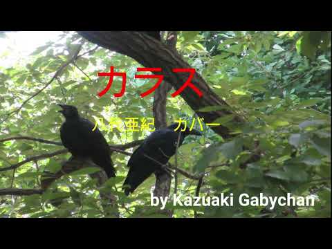 1993 八代亜紀 カラス カバー "Karasu", "Crow" Aki Yashiro, Covered by Kazuaki Gabychan