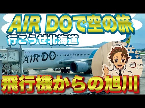 【飛行機.旅行】AIR DOで空から景色を堪能！たまには空もいいぞ👍