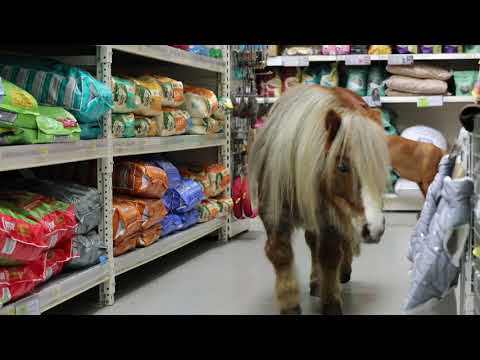 Doug & Ernie were invited in store!