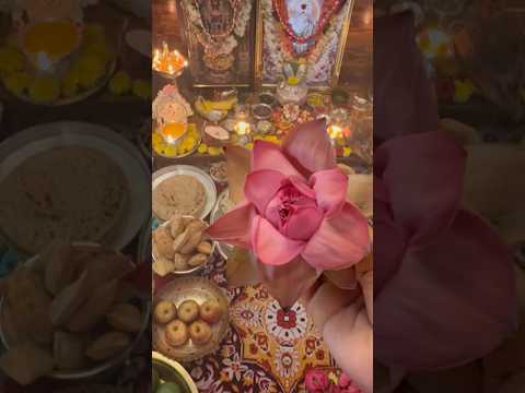 Lakshmi Pooja #varalakshmipooja #varalakshmivratham #varamahalakshmi #lotus #aesthetic