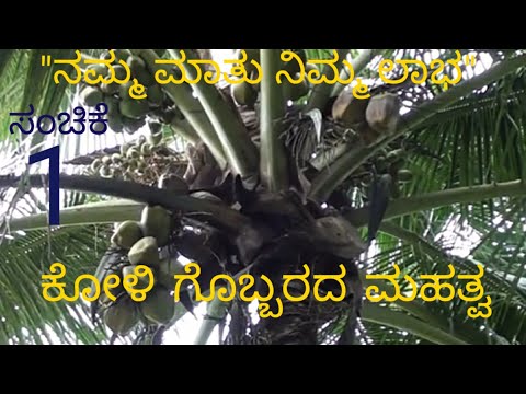 ತೆಂಗಿನ ಮರಕ್ಕೆ ಕೋಳಿ ಗೊಬ್ಬರ ಮಹತ್ವ || ಸಂಚಿಕೆ-01||