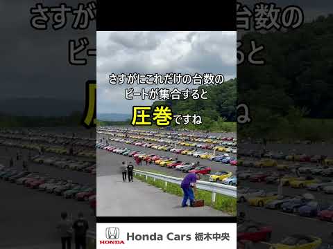 【HondaCars栃木中央】MEET THE BEATに行ってきた#shorts