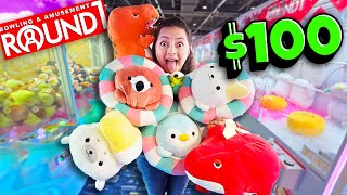 $100 Claw Machine Challenge!