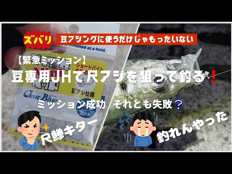 【緊急ミッション】豆専用JHで尺アジを狙って釣る❗豆アジングに使うだけじゃもったいない