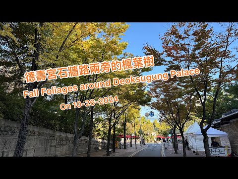 德壽宮石牆路楓景 ，貞洞觀景臺腑瞰德壽宮/ Overlook Deoksugung Palace @ Jeongdong Observatory on 10-26-2024 ( Day 3-A )