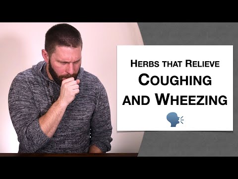 🌿 Herbology 2 Review - Herbs that Relieve Coughing and Wheezing (Extended Live Lecture)