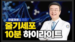 [연세사랑병원] 연골재생을 위한 내 몸 속 줄기세포 10분 하이라이트