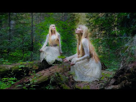 The Seer's Gift - Nordic/Celtic Lullaby - Harp Twins original