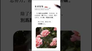 「有些路我不走心不甘」~小燦好聽的歌曲#每日短句#人生感悟#情感文案#自媒體#短影音行銷#網路行銷#全網贏銷#佳興成長營#智慧立體#Line名片#超極名片#靈芝咖啡#AI機器人#AI人工智慧