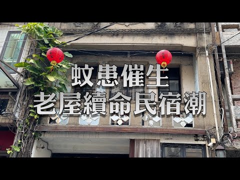 蚊患催生　老屋續命民宿潮