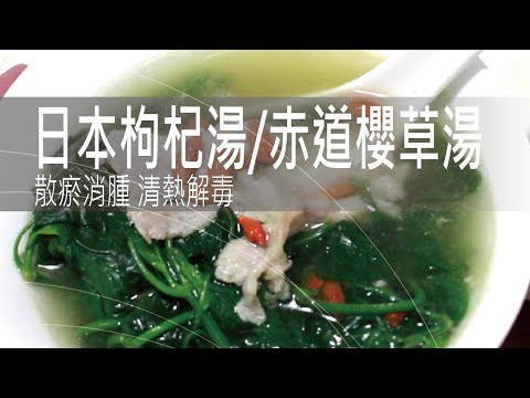 日本枸杞湯 赤道櫻草湯 | 散瘀消腫 清熱解毒