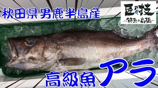 「匠の技～鮮魚の高橋～ 秋田県 男鹿半島産 アラ編」