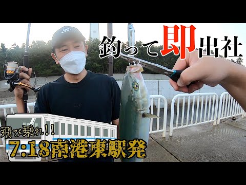 平日の弾丸南港魚釣り園ショアジギング