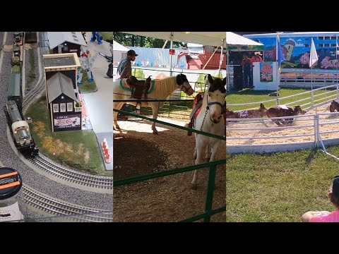 County Fair Experience: Pig Races, Trains, And Ponies