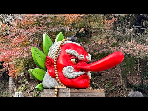 松尾山鞍馬寺的紅葉 / Red Leaves @ Kuramadera Temple, visited on 11-23-2023