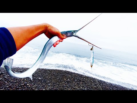 超危険な魚を釣って食う