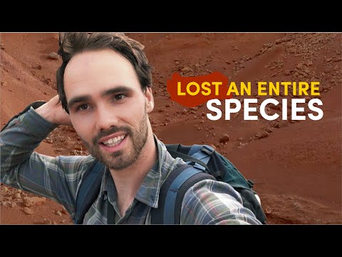 When our biologist lost a vial with an entire species | EP.3