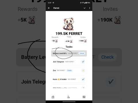 Ferret battery task #shorts #youtubeshorts #ferret