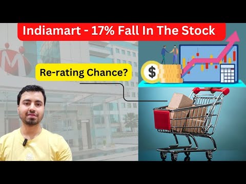 Indiamart - Angelone Jaisa Business Chahiye | Why Did Indiamart's Stock Fall 17%