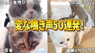 【爆笑!!ネッコ50連発】変な鳴き声でしゃべるおもしろ猫動画集！Part1