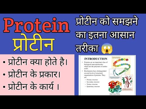 Protein ( प्रोटीन ) | Structure | Classification | Function | What food is high in protein?