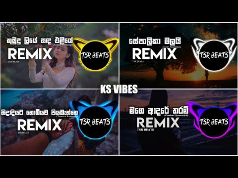 Manoparakata Sinhala Relax Remix Songs Collection | මනෝපාරකට  ( TSR BEATS )