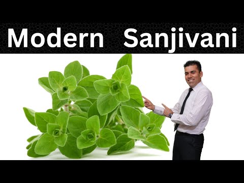 Modern Sanjivani? Yes one herb which can be said to have so many good results on bodies health!