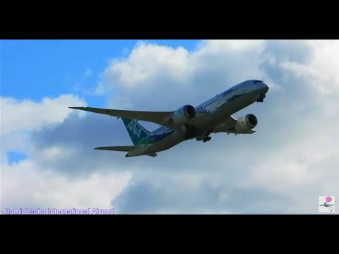 伊丹空港ライブ配信! Vol.2 Plane Spotting Live!  Osaka International Airport 12/20/2024