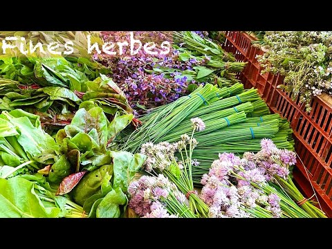 【フランス料理の基本】良く使う４種類のハーブの説明とフィーヌゼルブのやり方！Fines herbes