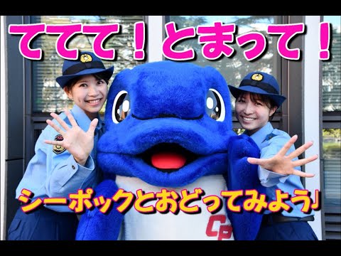 【ててて！とまって！】シーポックと踊ってみた！！【千葉県警察公式チャンネル】