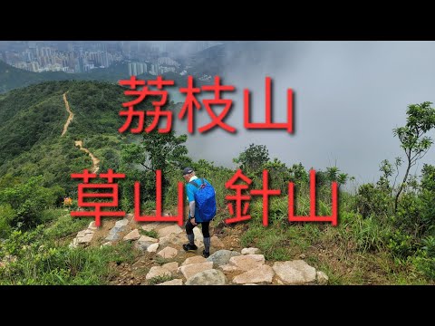 9月7日（星期六）大埔墟火車站 荔枝山 草山（東脊）針山 城門水塘 石蔭東邨