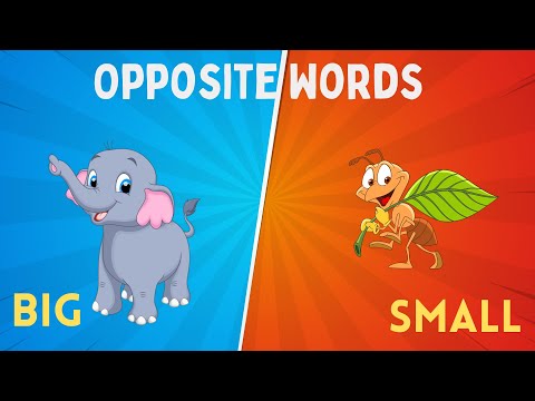 🔴Opposites For Kids 🔴 Watch and Learn Opposite Words In English.