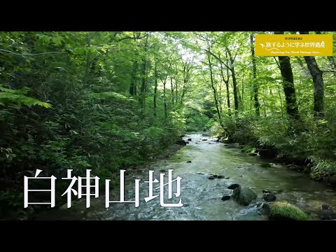 旅するように学ぶ世界遺産『白神山地』